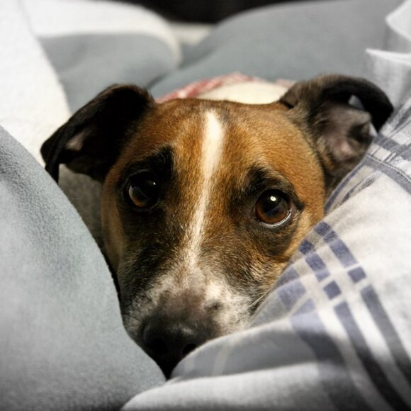 Hi, new to Posh, tired of ebay! - Picture 1 of 1